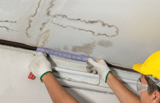 Reliable Burst Pipe Cleanup contractor in Cedar Creek, TX by Water Damage Irwin